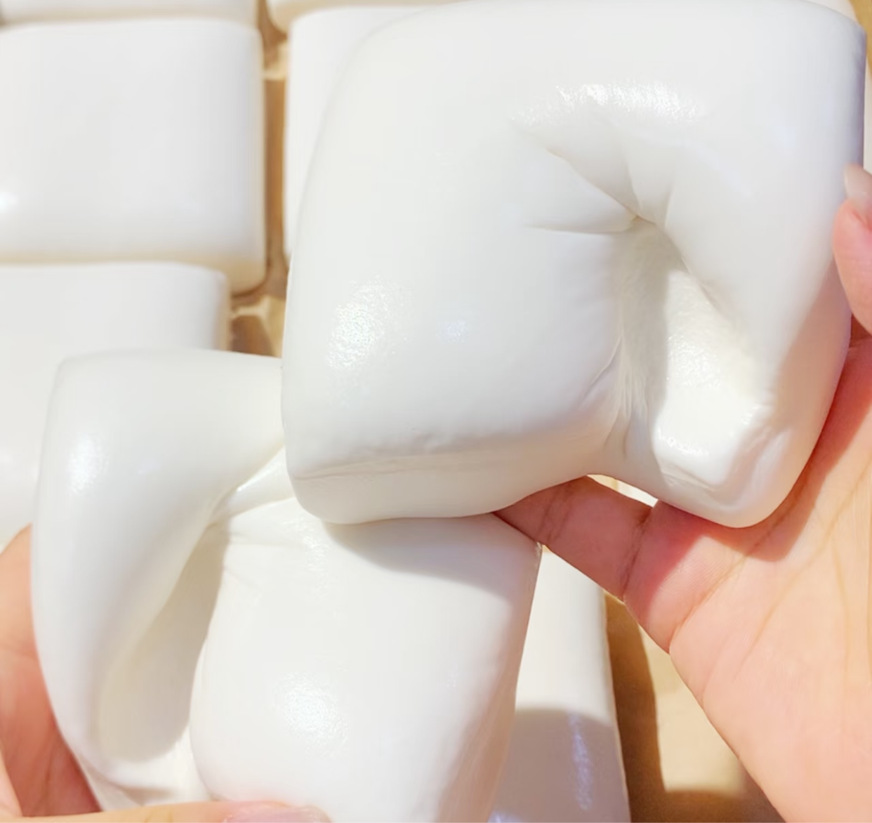 Rice cake strips  Squishy toy