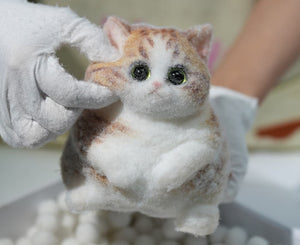 1KG Chubby Cat ruirui Squishy toy