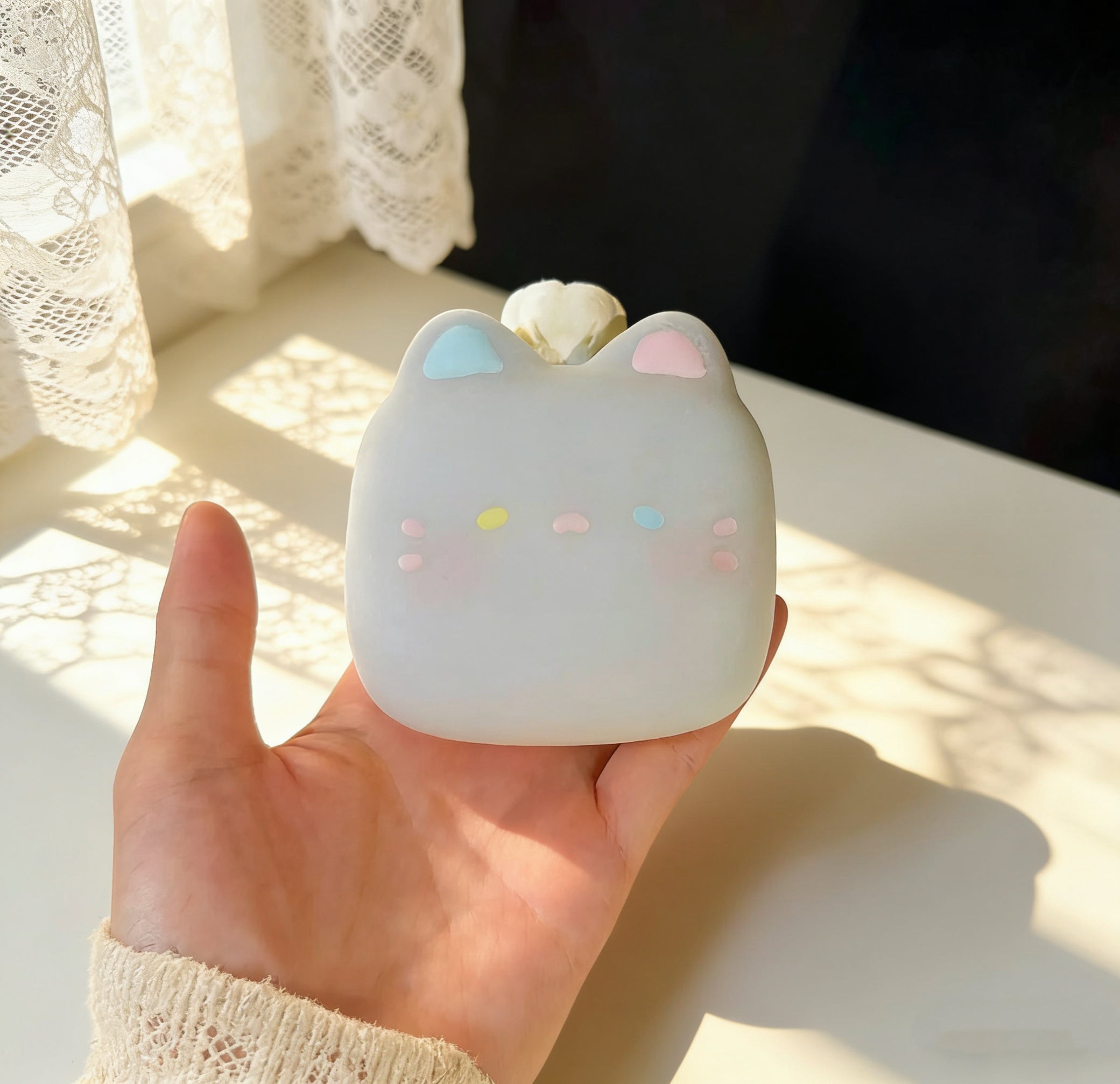cat ruirui squishy toy