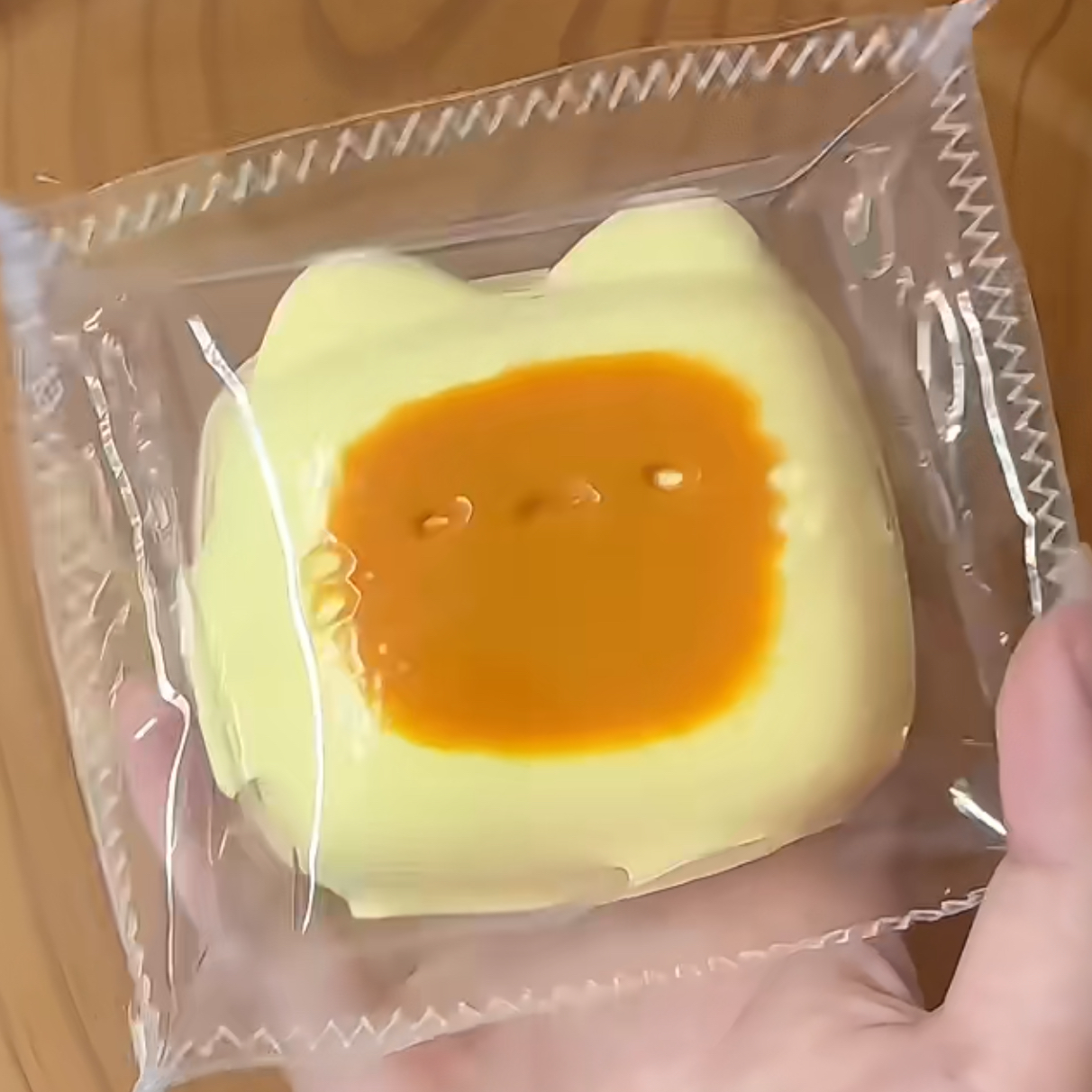 char grilled Cat ruirui squishy toy